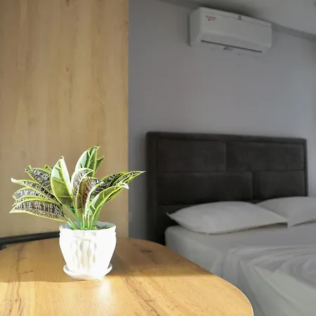 Sea View Apartment