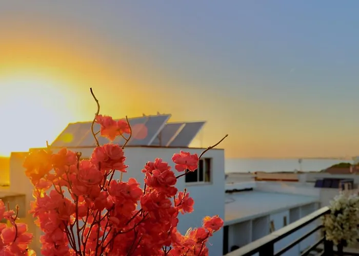 Sea View * 格勒姆