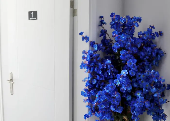 Appartement Sea View